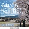それでも桜は開花する～岩手県大船渡市-山林火災の現場から～