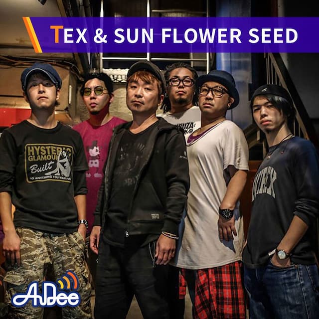 TEX & SUN FLOWER SEED「太陽のリズム」