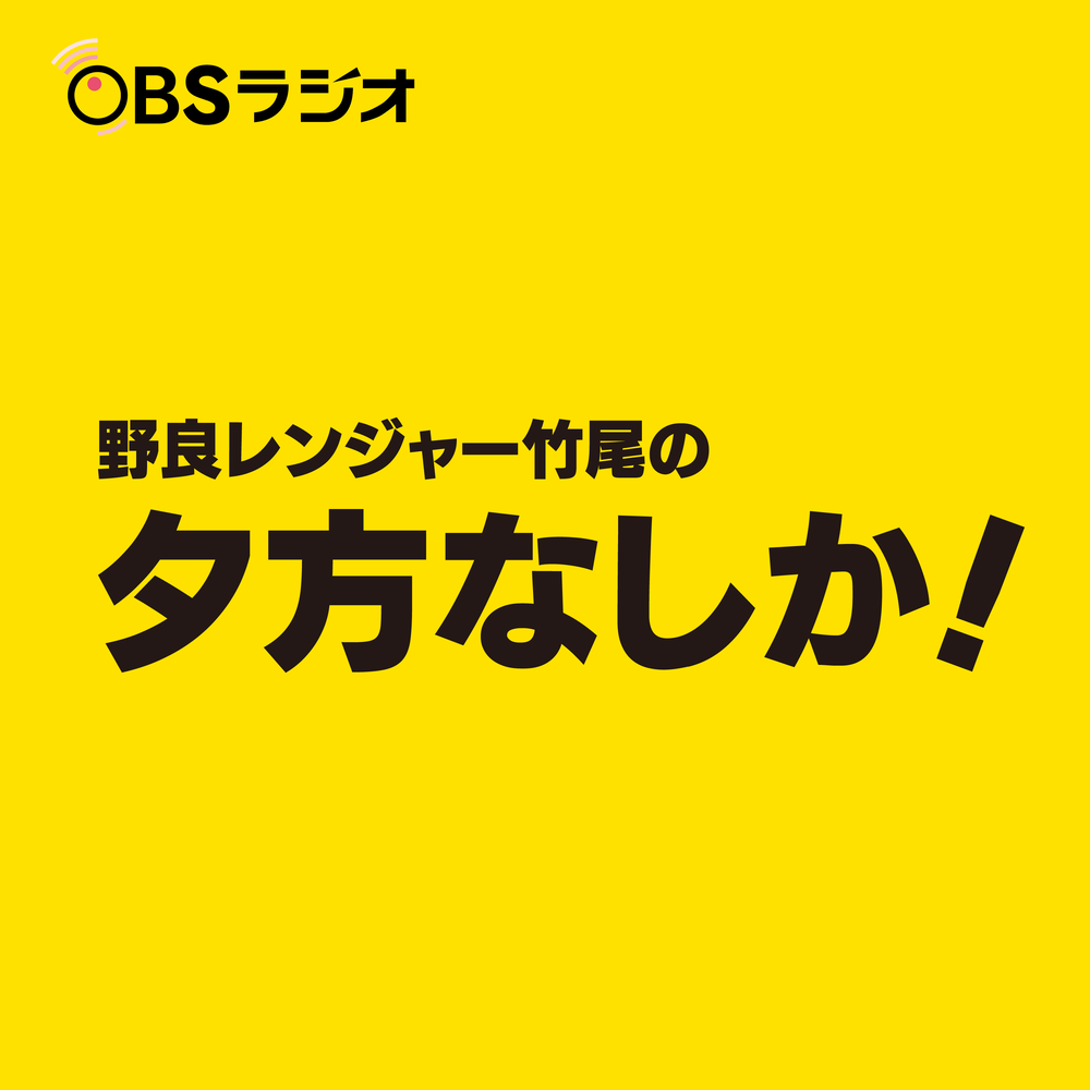 野良レンジャー竹尾の夕方なしか！