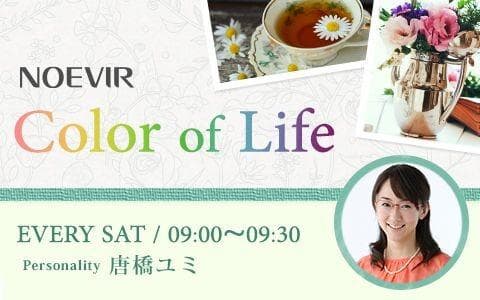 NOEVIR Color of Lifeのヘッダー画像