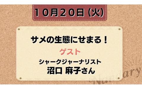 Nandaryのヘッダー画像