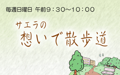 サエラの想いで散歩道のヘッダー画像