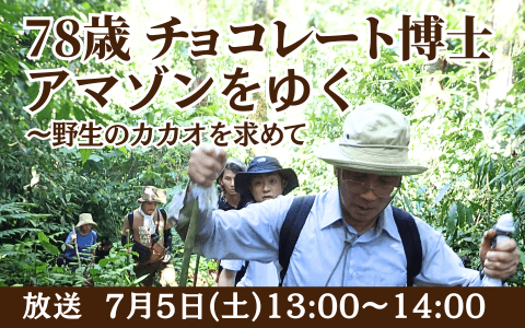 78歳 チョコレート博士 アマゾンをゆく～野生のカカオを求めてのヘッダー画像