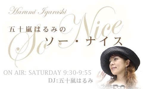 五十嵐はるみのソー・ナイスのヘッダー画像