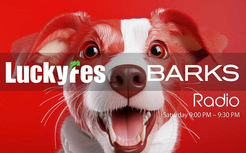 LuckyFes×BARKS Radioのヘッダー画像