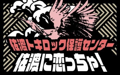 もつ焼きでん presents 佐渡に恋っちゃ!佐渡トキロック保護センターのヘッダー画像