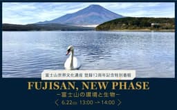 停止