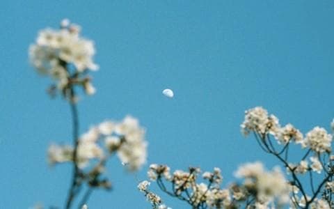 宮崎恵実のradio moonのヘッダー画像