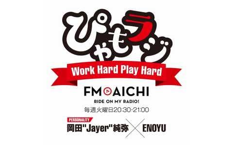 Work Hard, Play Hard～ぴゃもラジ～のヘッダー画像