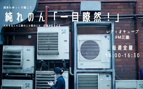 純れのん 一目瞭然のヘッダー画像