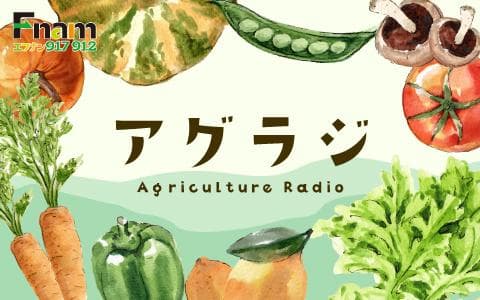 アグラジのヘッダー画像