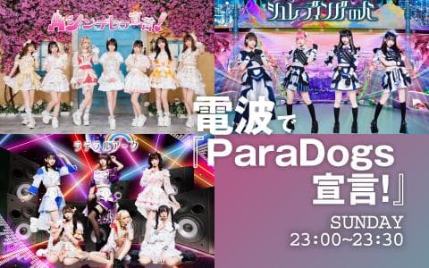 電波で『ParaDogs宣言!』のヘッダー画像
