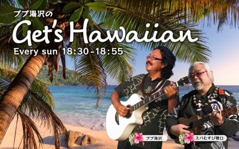Get’s Hawaiianのヘッダー画像