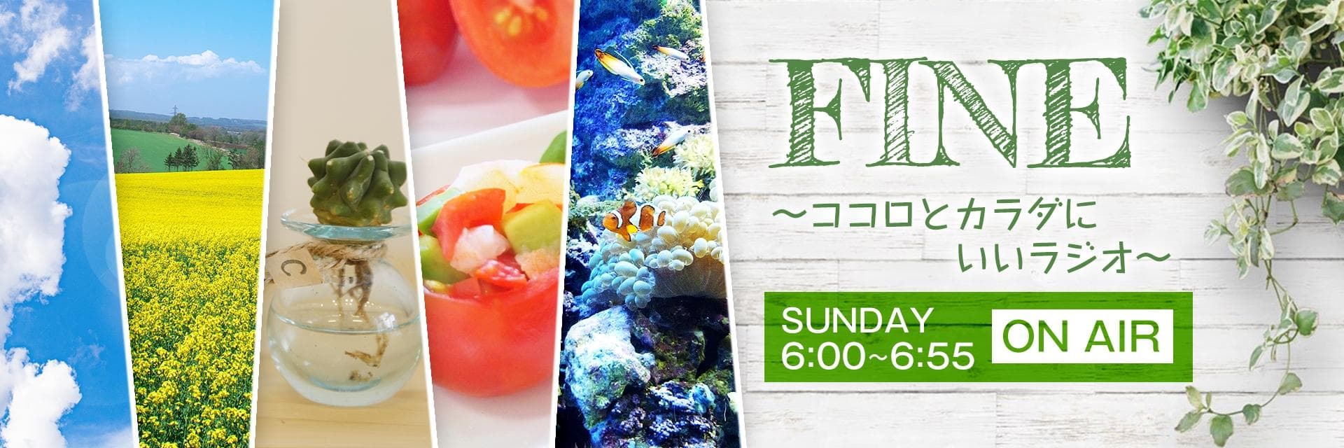 FINE ～ココロとカラダにいいラジオ～のヘッダー画像