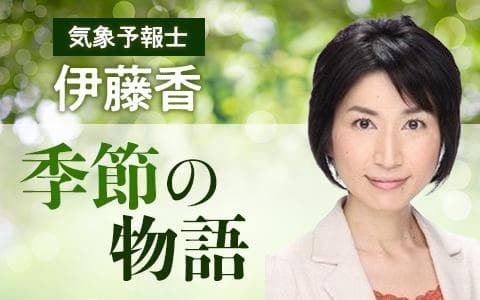気象予報士・伊藤香 季節の物語のヘッダー画像