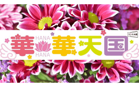 華華天国のヘッダー画像