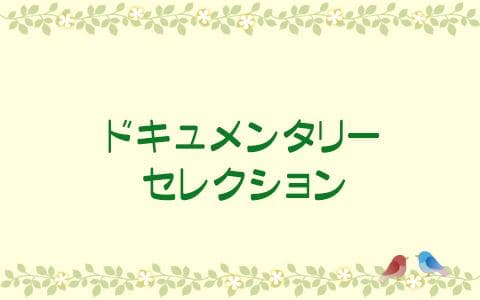 ドキュメンタリーセレクション「魔法が解けるまで～その日限りの鍵盤～」の画像