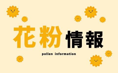 花粉情報