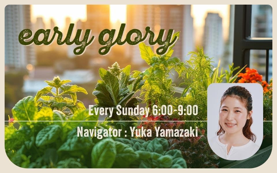 EARLY GLORYのヘッダー画像