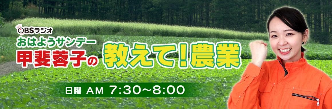 おはようサンデー 甲斐蓉子の教えて!農業のヘッダー画像