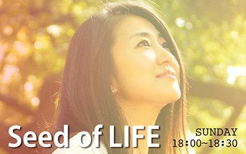 Seed of LIFEのヘッダー画像
