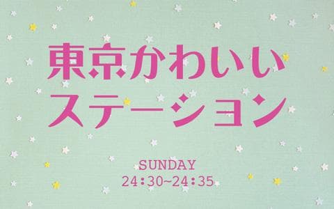 東京かわいいステーションのヘッダー画像