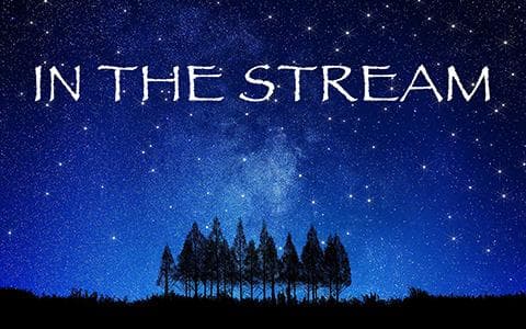 IN THE STREAMのヘッダー画像