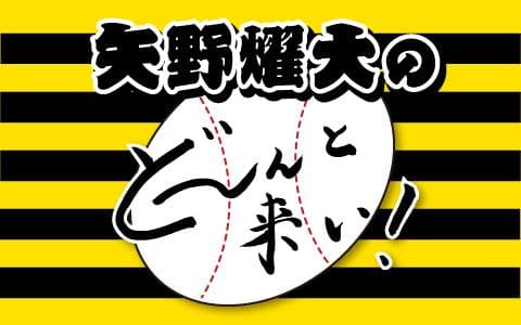 矢野燿大のど～んと来い!のヘッダー画像