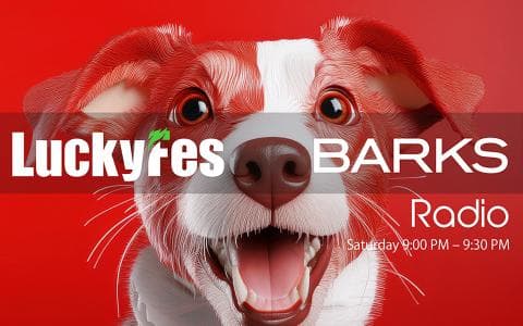 LuckyFes×BARKS Radio