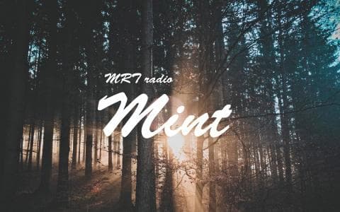 Mintのヘッダー画像