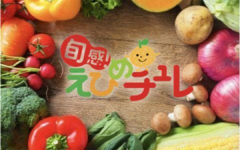 旬感!えひめチュレのヘッダー画像