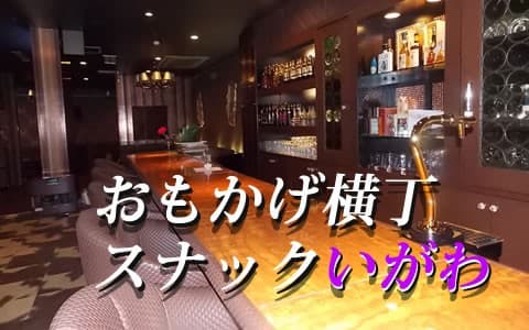 おもかげ横丁　スナックいがわ