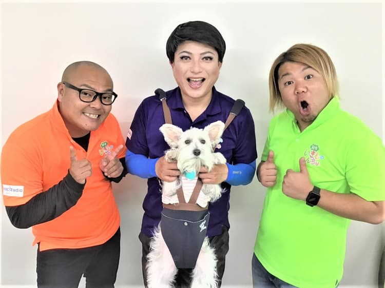 只今 いきものんちゅのヘッダー画像