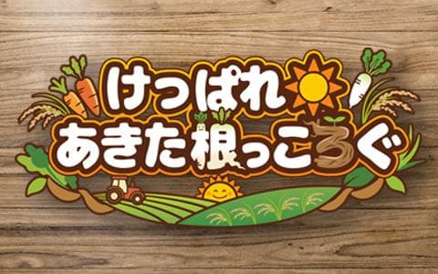 けっぱれ あきた根っころぐのヘッダー画像