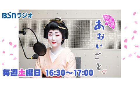 古町芸妓のあおいごと