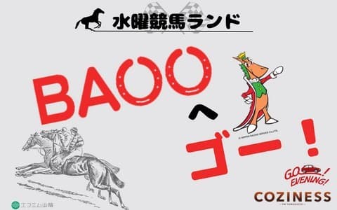 水曜競馬ランド BAOOへゴー!のヘッダー画像