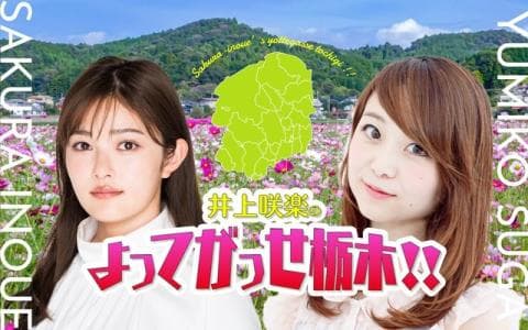 井上咲楽のよってがっせ栃木!!のヘッダー画像