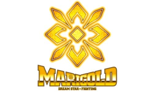 MARIGOLD BEAUTIFUL FIGHT！