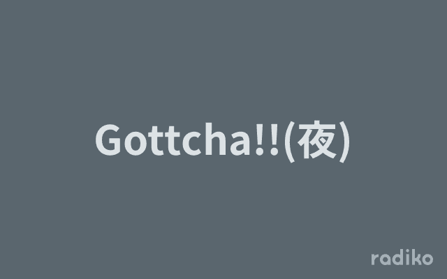 Gottcha!!(夜)のヘッダー画像