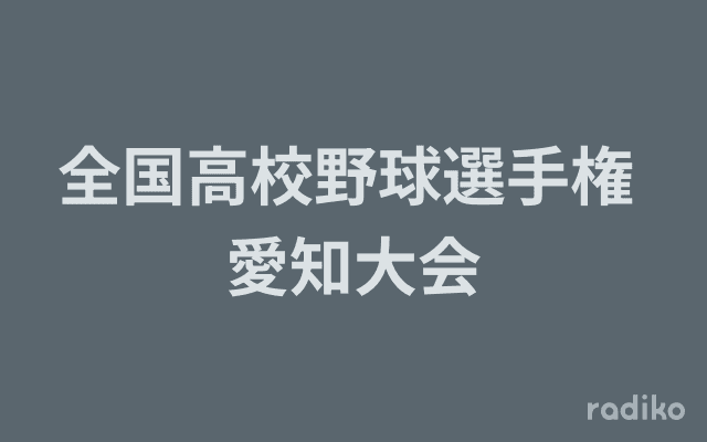 全国高校野球選手権 愛知大会のヘッダー画像