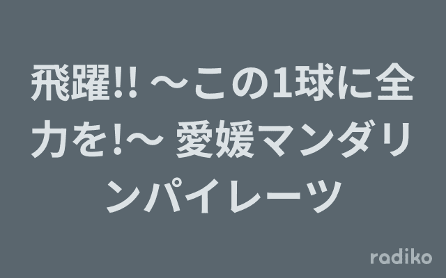 飛躍!! ～この1球に全力を!～ 愛媛マンダリンパイレーツのヘッダー画像