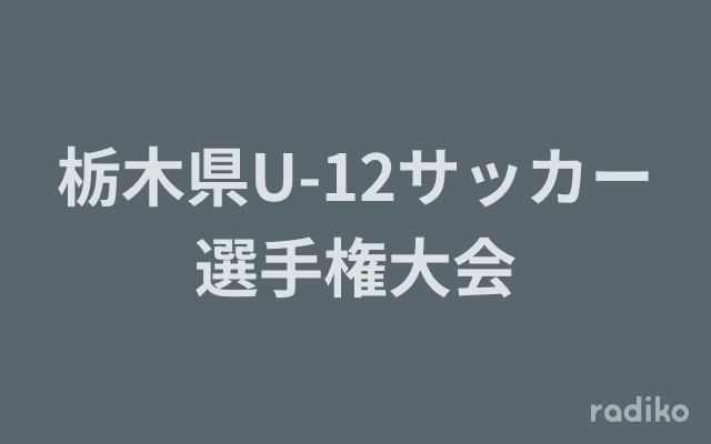 栃木県U-12サッカー選手権大会のヘッダー画像