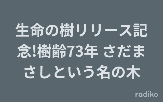 生命の樹リリース記念!樹齢73年 さだまさしという名の木のヘッダー画像