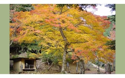 古典講読のヘッダー画像