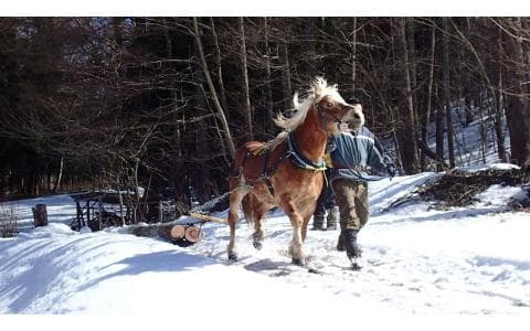 音の風景「遠野の馬搬（ばはん）～岩手～」