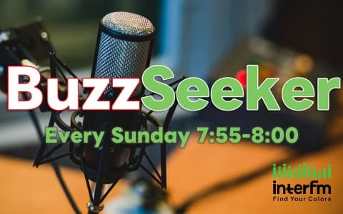 BuzzSeeker