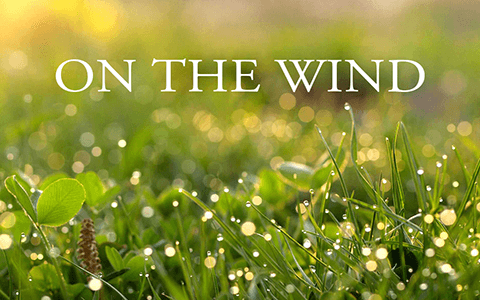 ON THE WIND