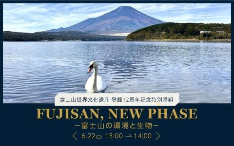 富士山世界文化遺産登録12周年特別番組「FUJISAN,NEW PHASE-富士山の環境と生物-」のヘッダー画像
