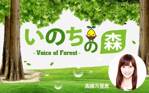 21年1月17日 日 05 30 05 55 いのちの森 Voice Of Forest Tokyo Fm Radiko